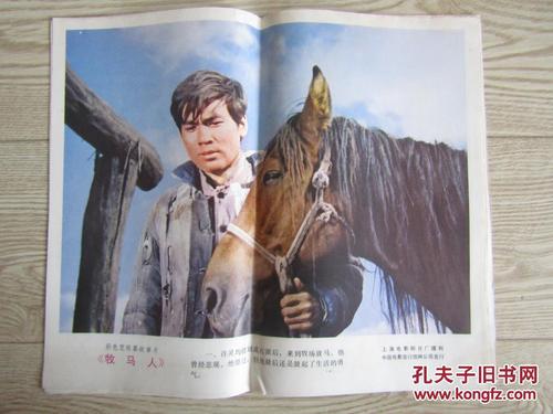 日本盛冈大学本科offer